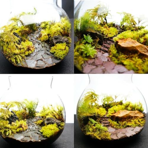 【制作キット】【石畳が作れる】M:13cm ツールなし LEDライト付ボトルテラリウム プレゼント 作成キット 苔セット 苔 制作 ハンドメイド 自作キット 手作り ギフトas e86aa9a0