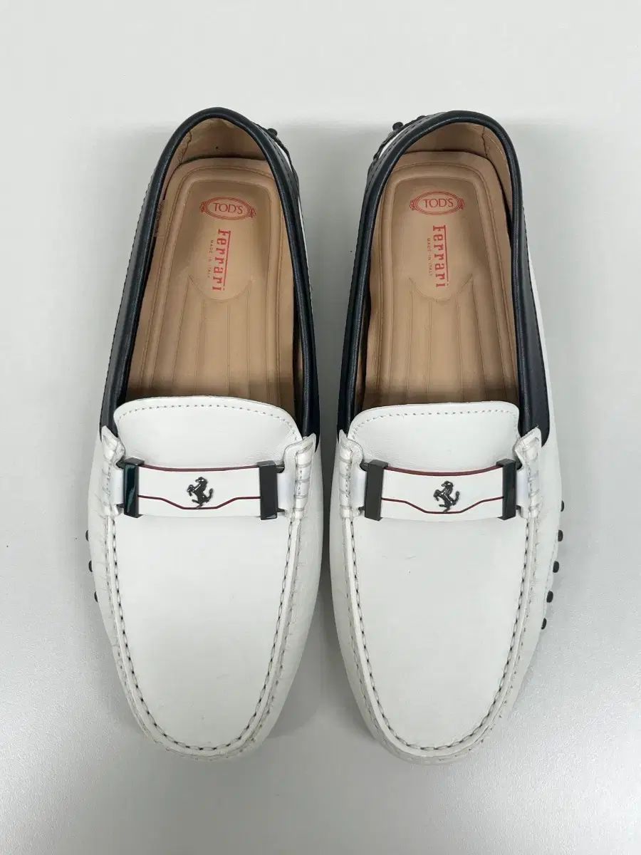 正規品 TOD'S X Ferrari ゴンミーニ ドライビング シューズ 255