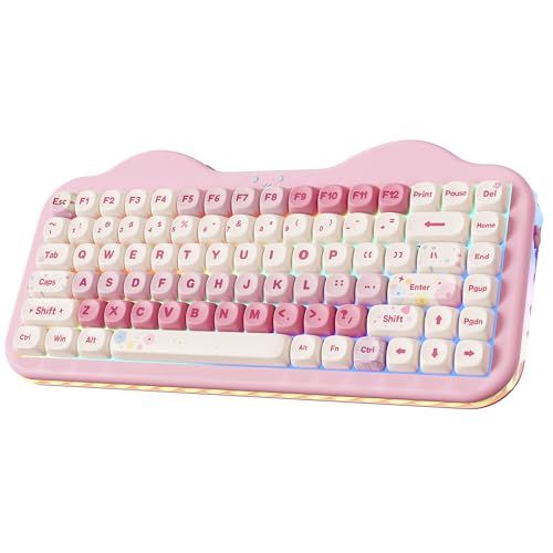 YUNZII C75 ワイヤレス メカニカルキーボード 75%レイアウト ホットスワップ対応 クリーミーキーボード NKRO PBT MOA キーキャップ RGBバックライト ガスケットマウント 可愛いケーキデザイン BT5.0/2.4G/U fbfc86e2