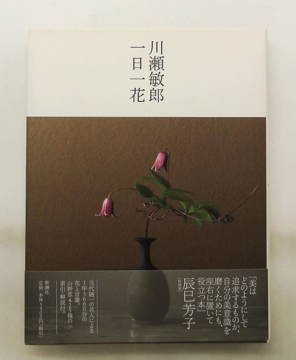 川瀬敏郎 一日一花 川瀬 敏郎 新潮社