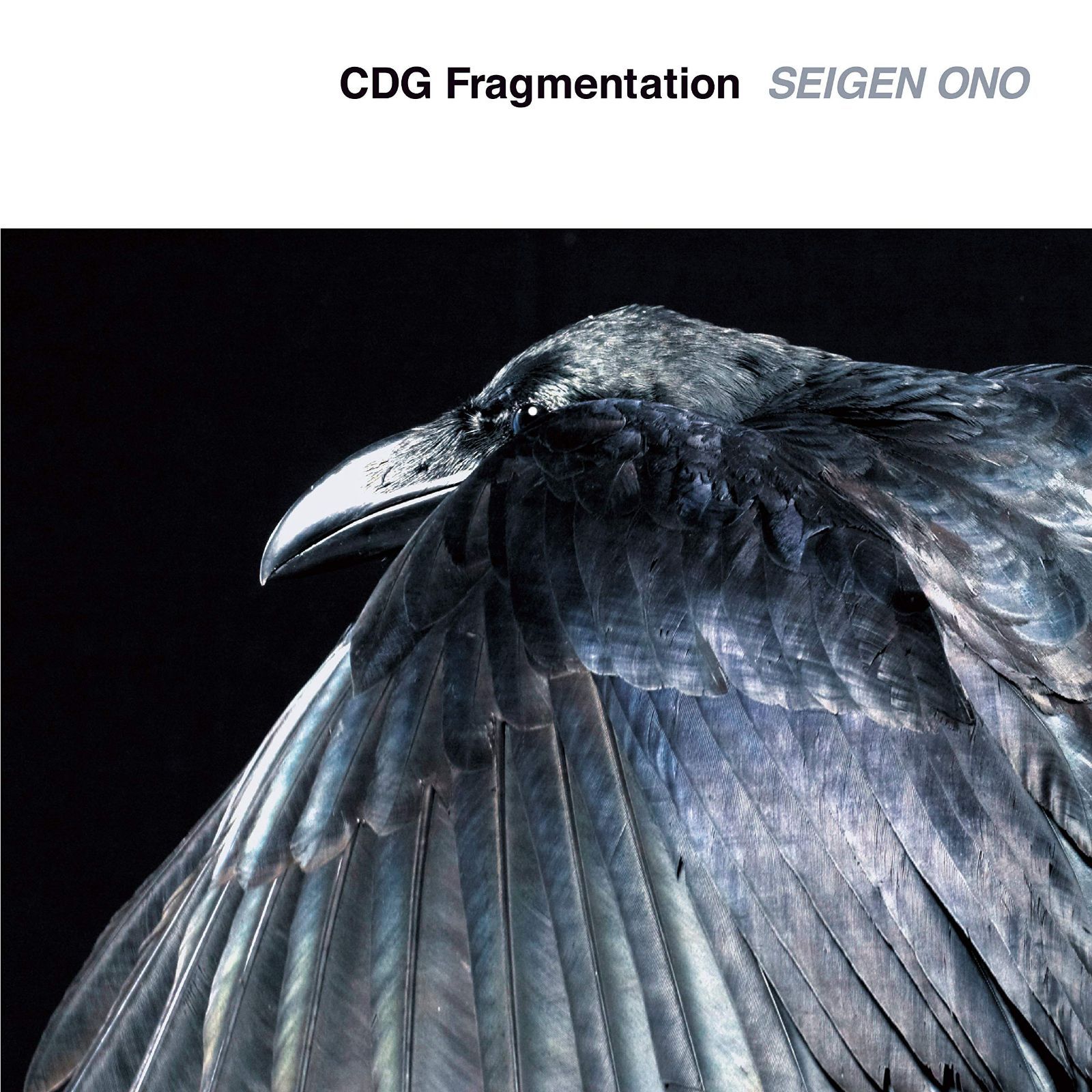 【CD】CDG Fragmentation(CD) - SEIGEN ONO