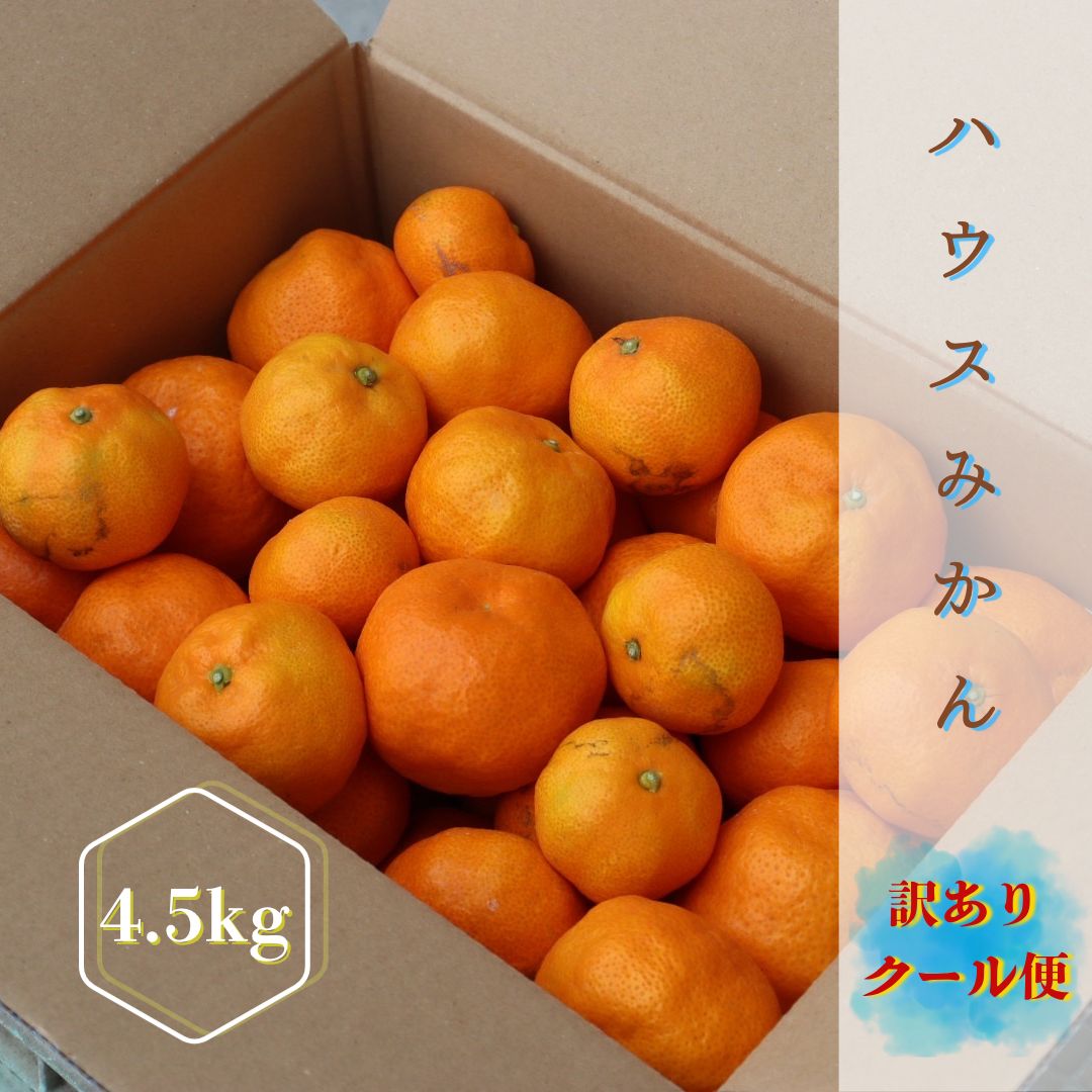 訳あり】唐津産ハウスみかん 4.5kg 家庭用 - メルカリ