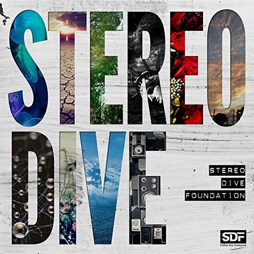 【CD】STEREO DIVE