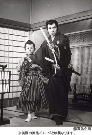 隠密剣士 パーフェクトDVD BOX 大瀬康一,牧冬吉[DVD](中古)
