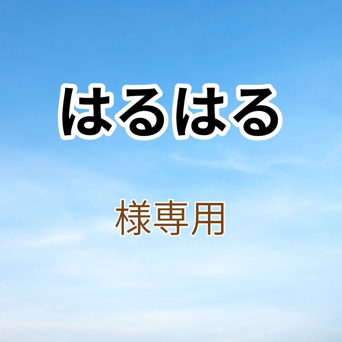 はるさま専用 はるはる様専用 はる様専用 ハル様