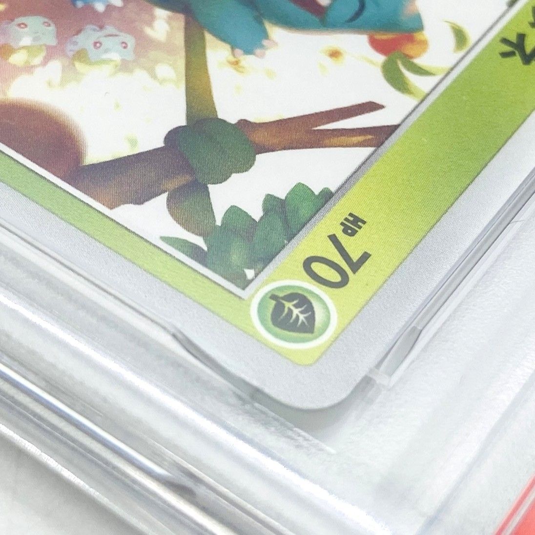 ☆PSA10 ポケモンカード フシギダネ 337/S-P PROMO F イラスト