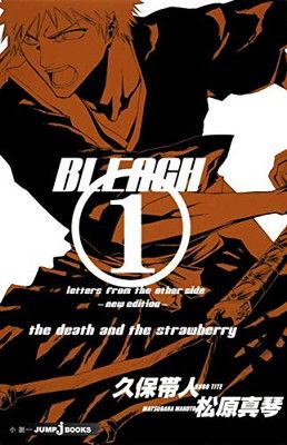 BLEACH letters from the other side -new edition- (JUMP j BOOKS