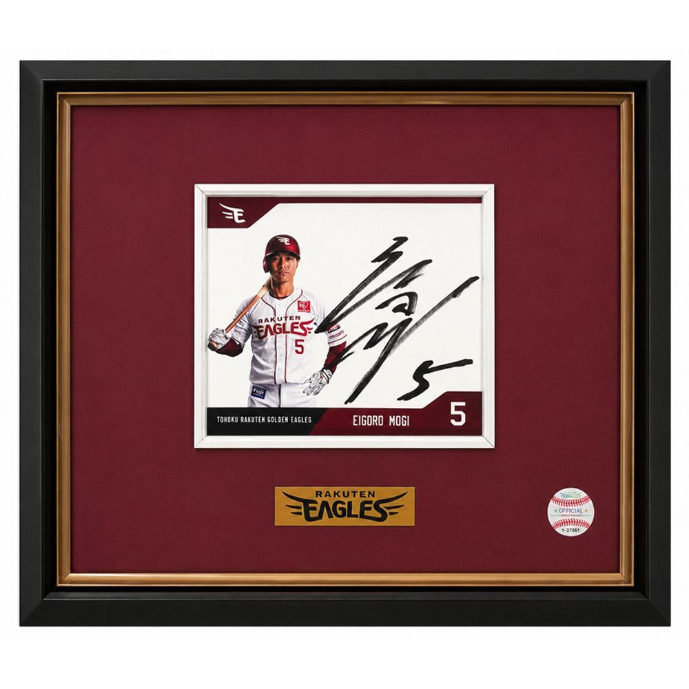 Rakuten Eagles 2024 選手直筆サイン入り色紙#31渡辺翔 #66村林#5茂木