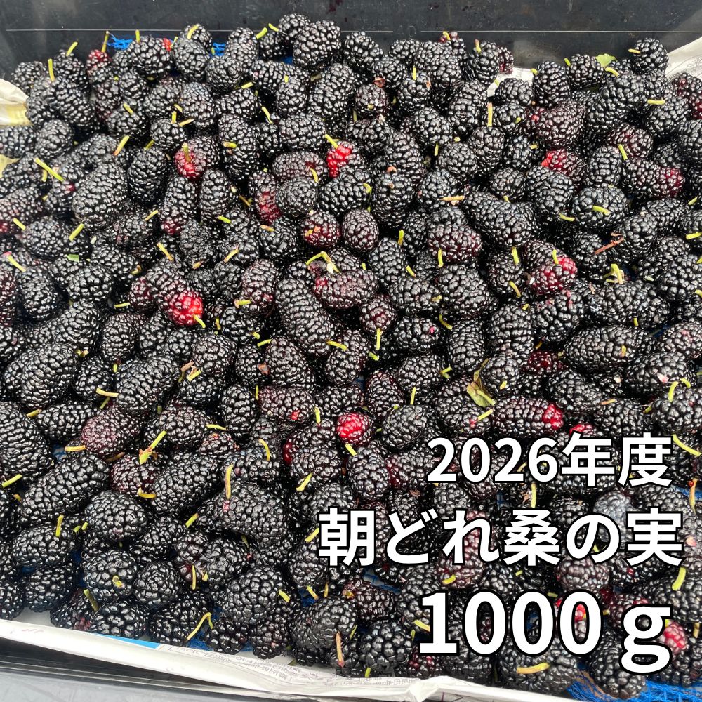即冷凍で鮮度・栄養そのまま！瀬戸内ブランド桑の実　マルベリー　2㎏