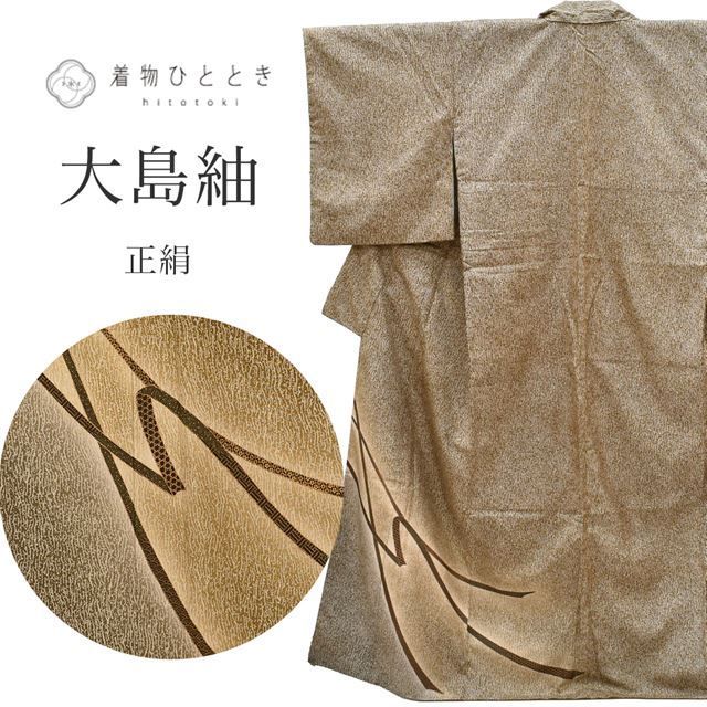 大島紬 着物 正絹 リサイクル 裄63cm 身丈157cm 染大島 美品 仕立て上がり M 茶色系 熨斗文様 ss1465b