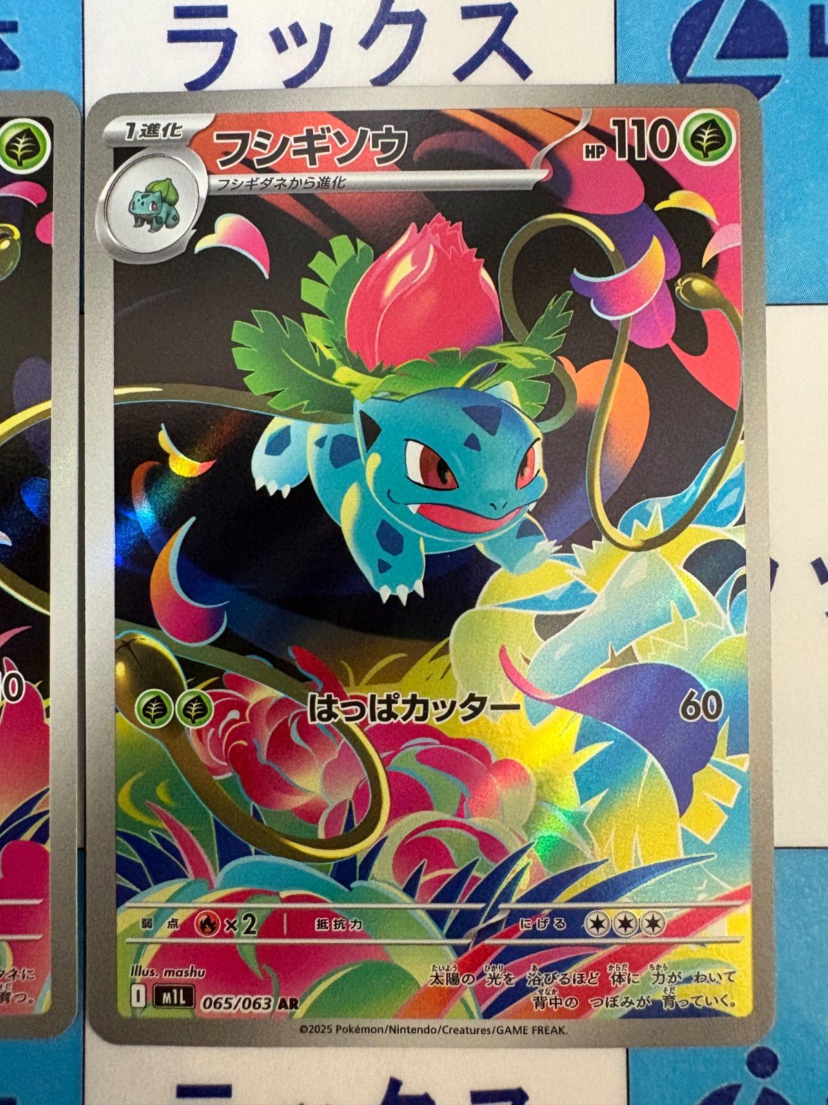 ポケモンカード フシギダネ系 6枚セット ポケモンカード/ポケカ フシギダネ 064/063 フシギソウ AR 065/063