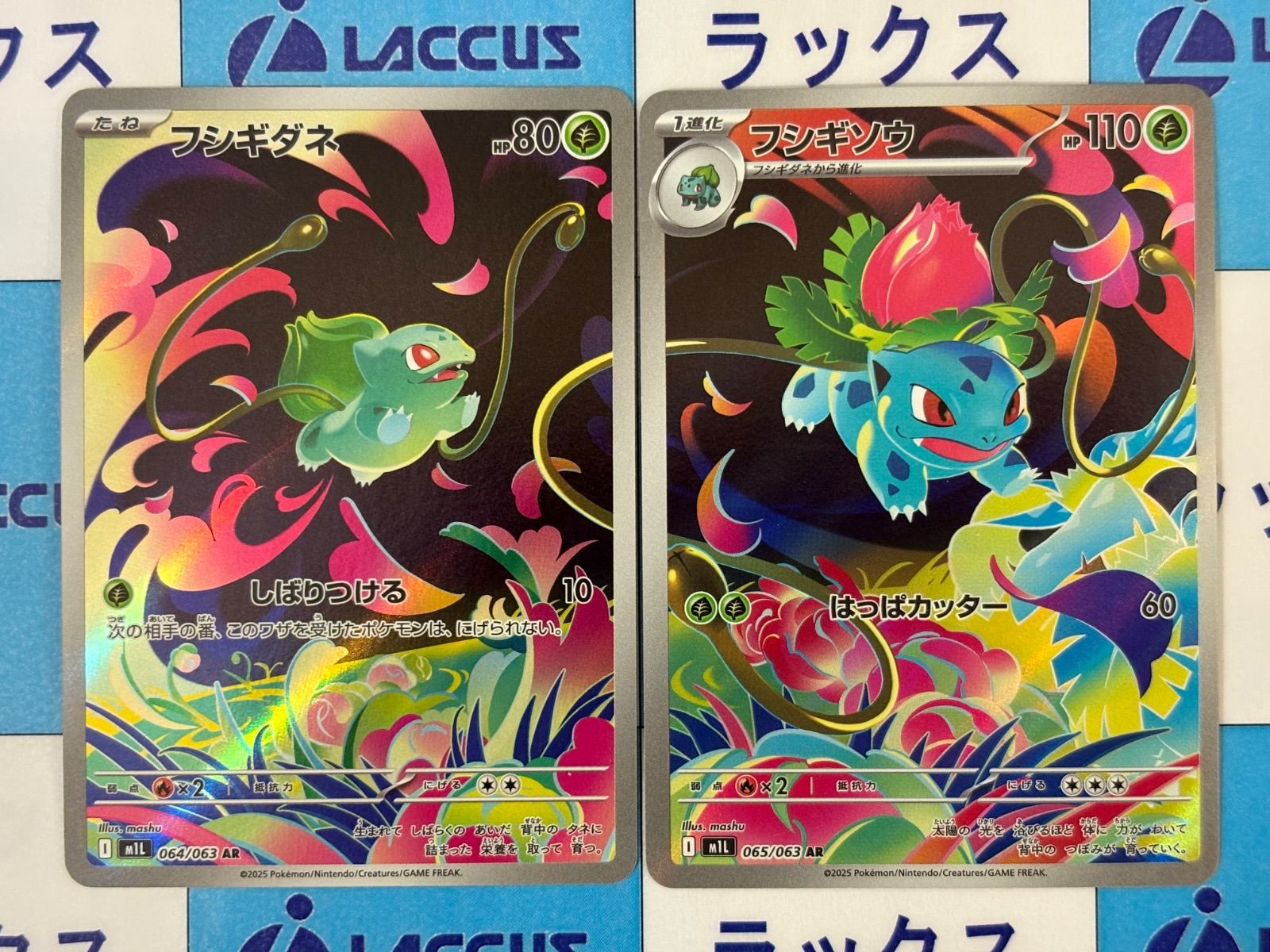 ポケモンカード/ポケカ フシギダネ 064/063 フシギソウ AR 065/063