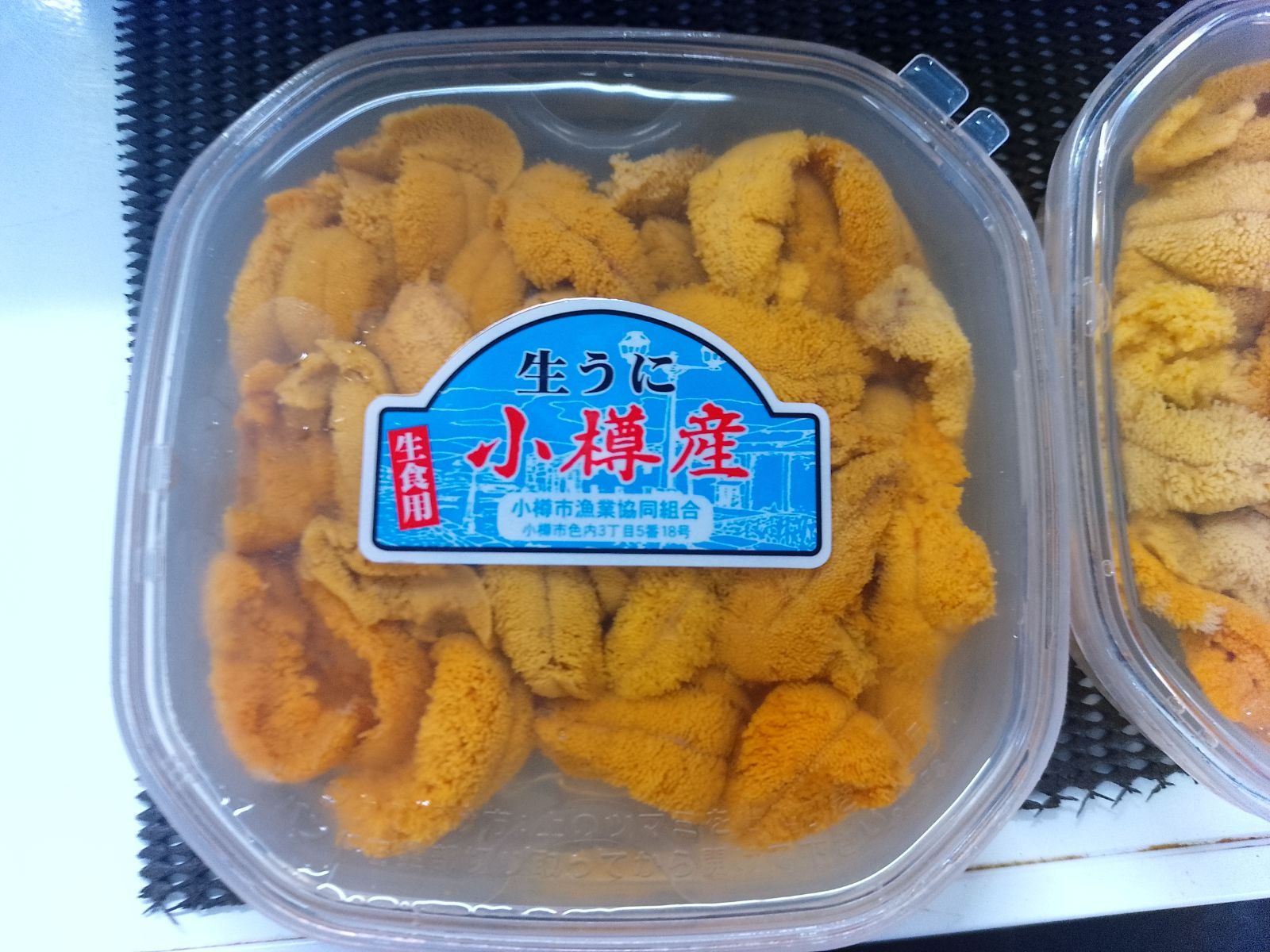 2026⭐️小樽産塩水雲丹