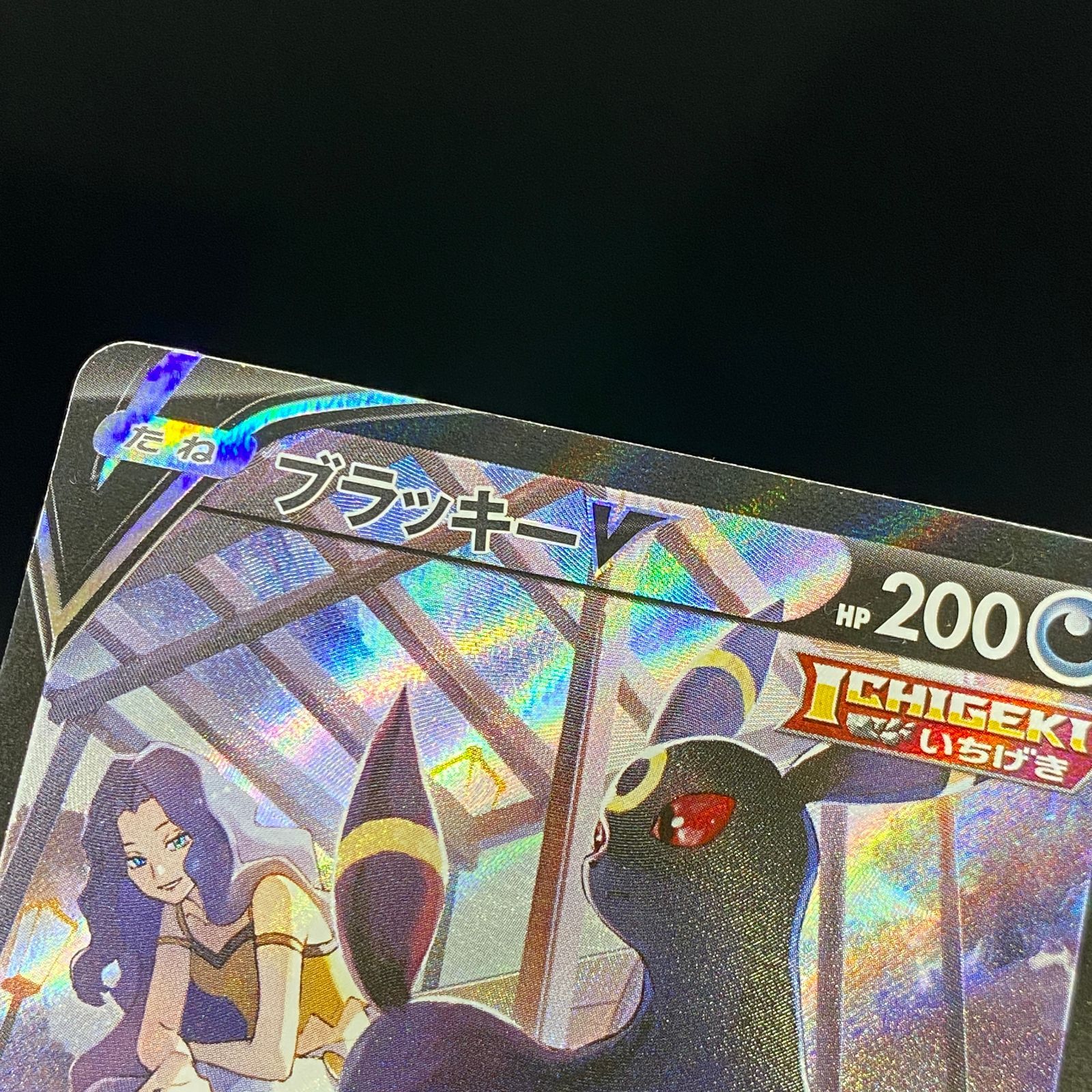 ポケモンカード ポケカ ブラッキー CSR s8b-244 184 ハイクラスパック