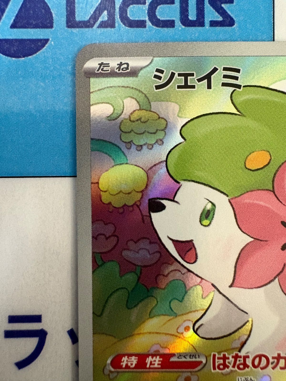 ポケモンカード/ポケカ シェイミ 066/063 AR - メルカリ