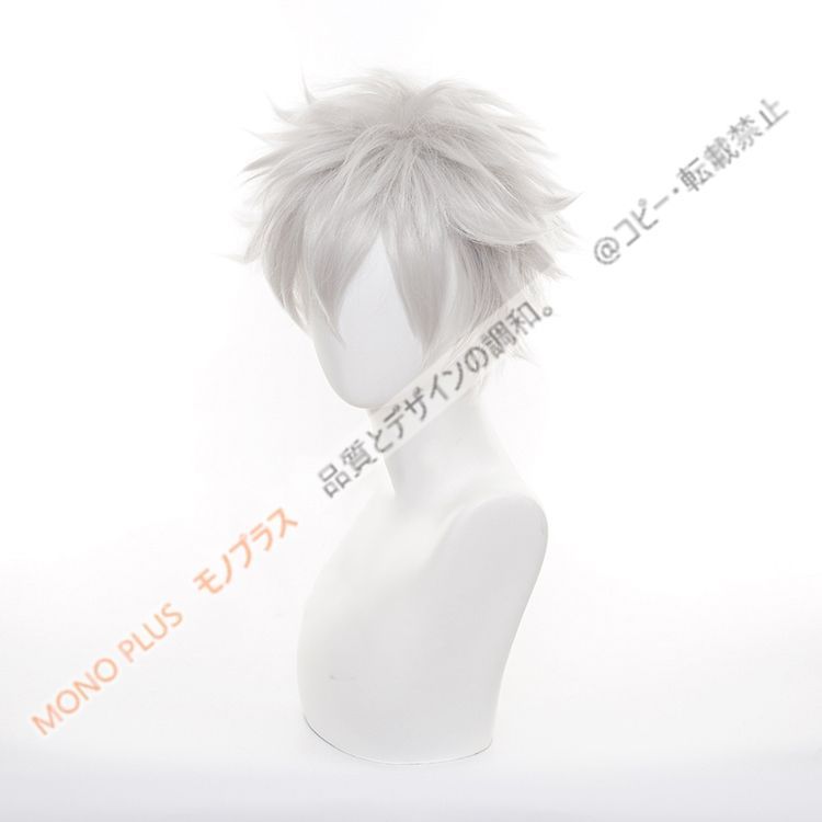 送料無料】 坂田 銀時 銀魂 コスプレ ウィッグ+ネット 新品 CJF61P381
