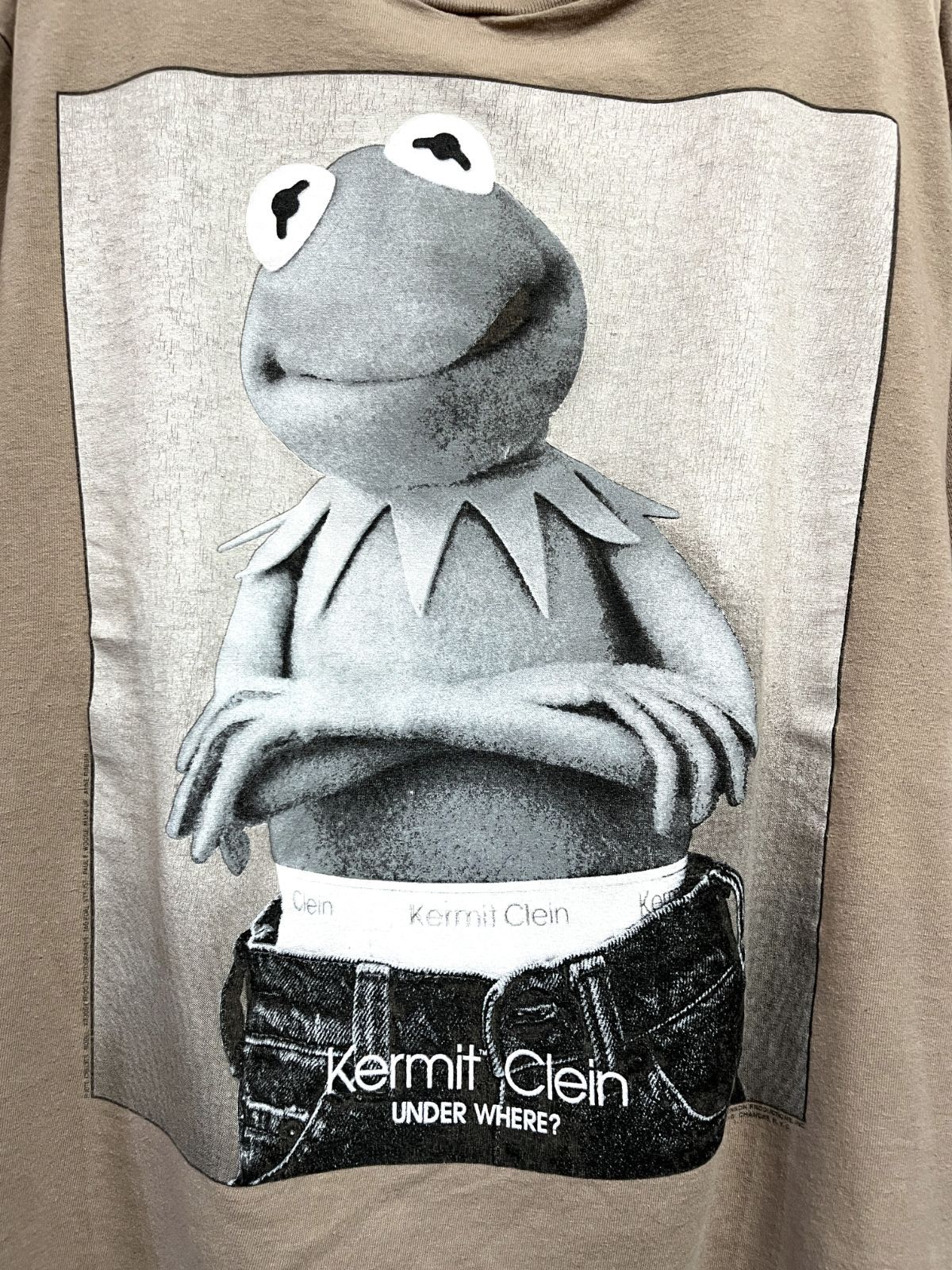 90s ヴィンテージ USA製 Changes｜チェンジーズ KERMIT CLEIN 