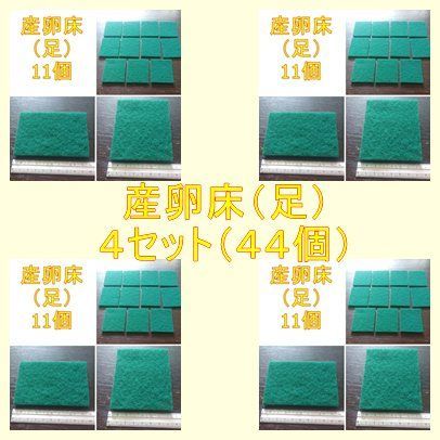 メダカ 産卵床(足)×4 ※研磨剤不使用 - メルカリ