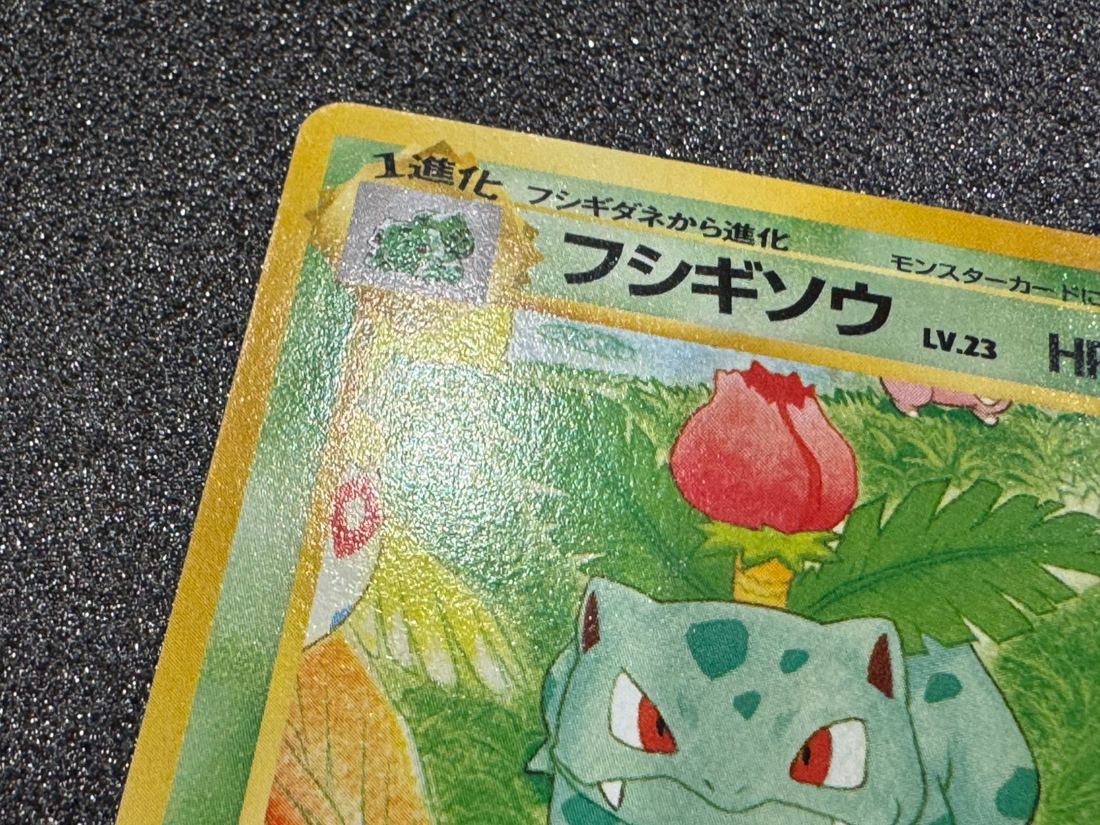 旧裏】フシギソウ サザンアイランド No.002 ポケモンカード【送料無料