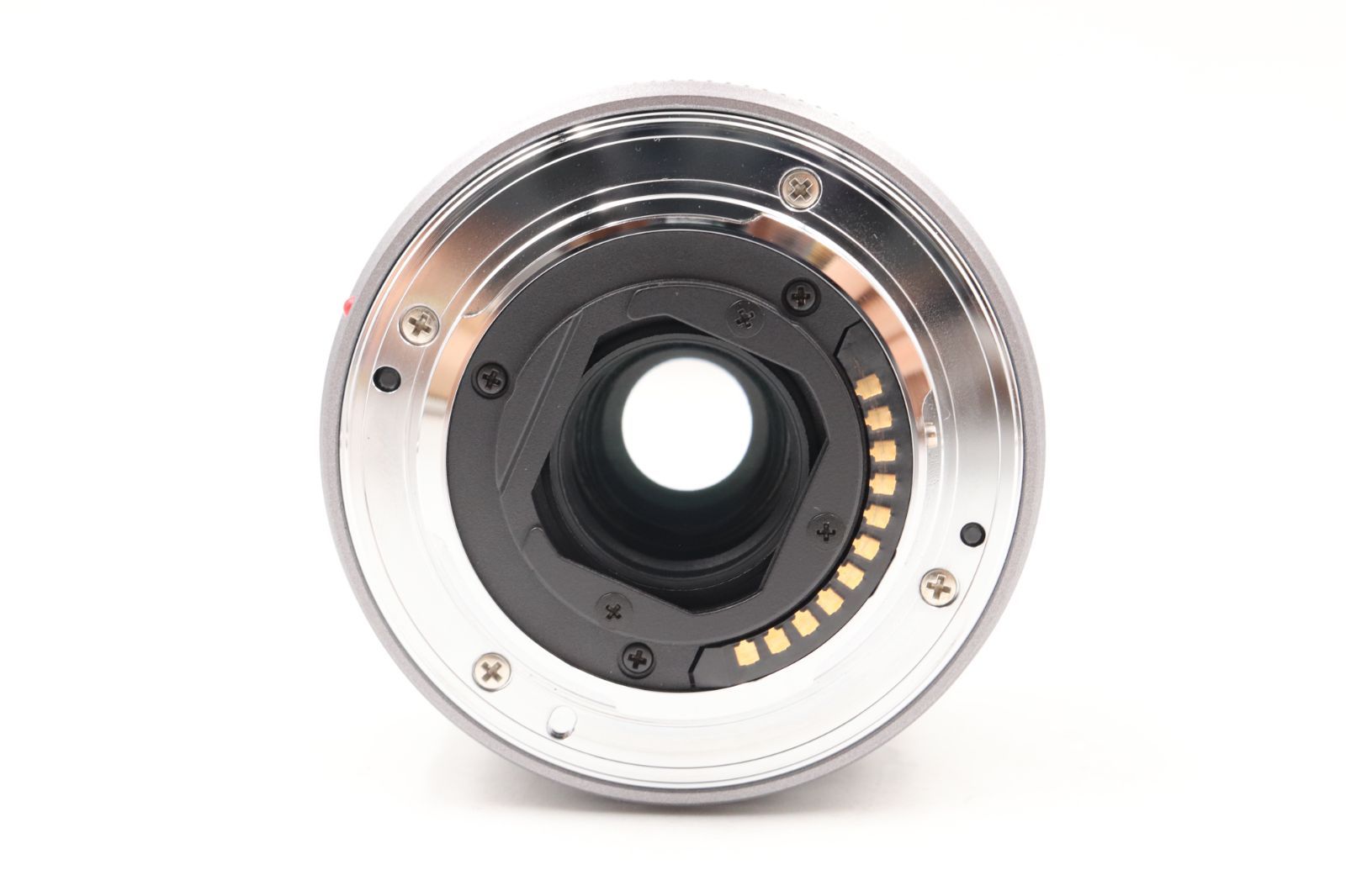 極上品☆パナソニック Panasonic LUMIX G FISHEYE 8mm F3.5 付属多数