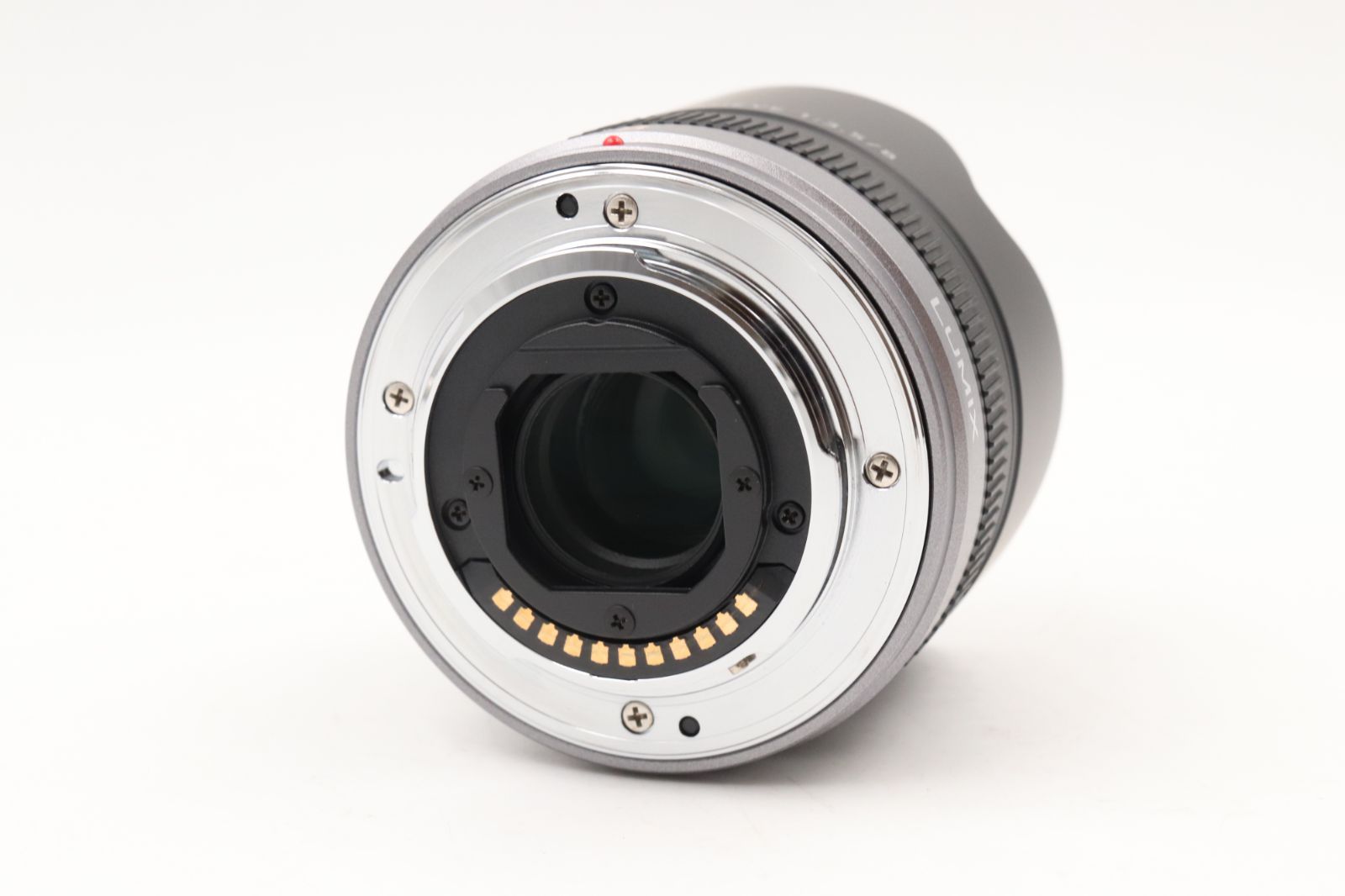 極上品☆パナソニック Panasonic LUMIX G FISHEYE 8mm F3.5 付属多数