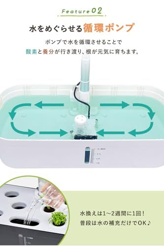 MRG] 水耕栽培キット 12株同時栽培 LED植物育成ライト・自動水循環