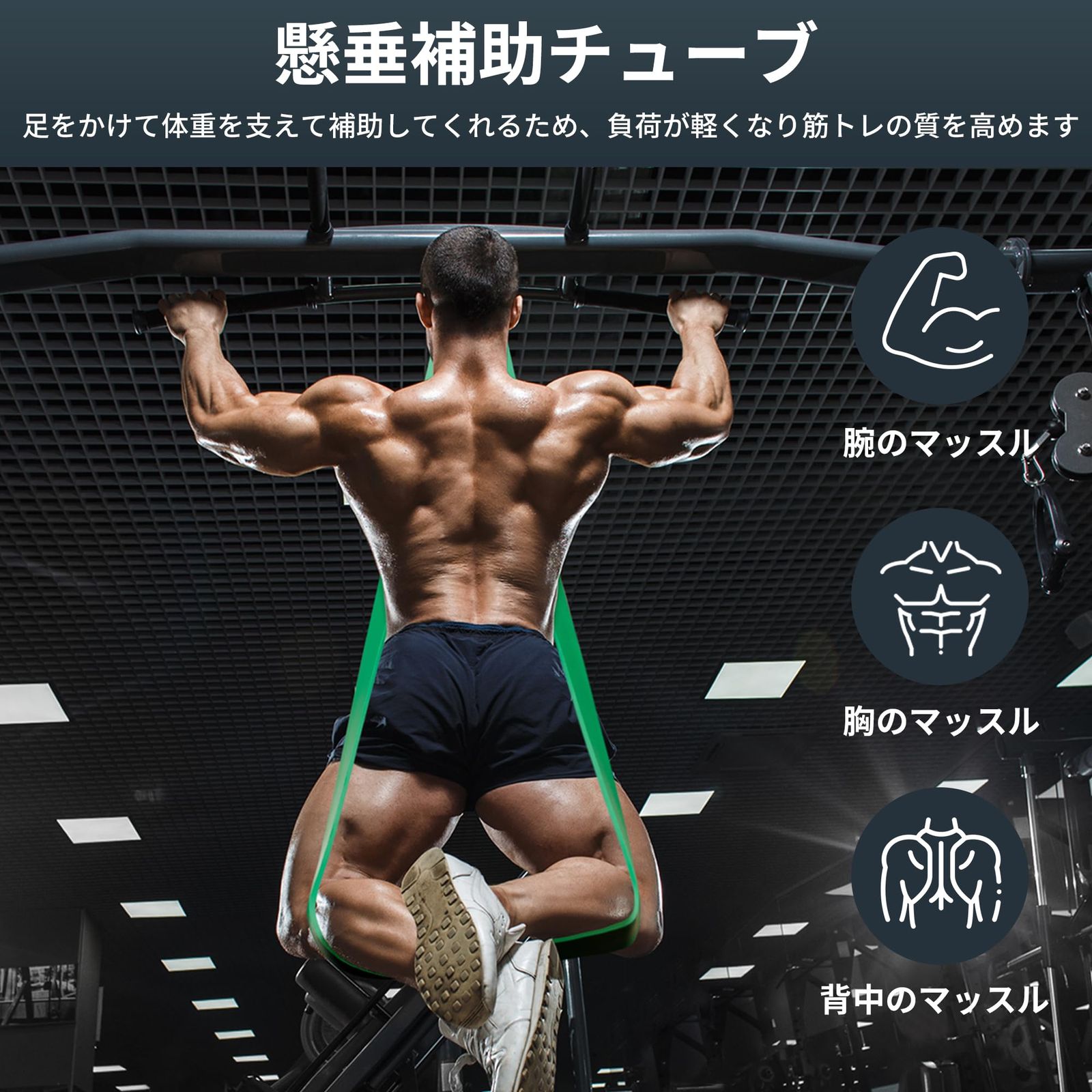 新品 TheFitLife トレーニングチューブ 筋トレチューブ 懸垂チューブ