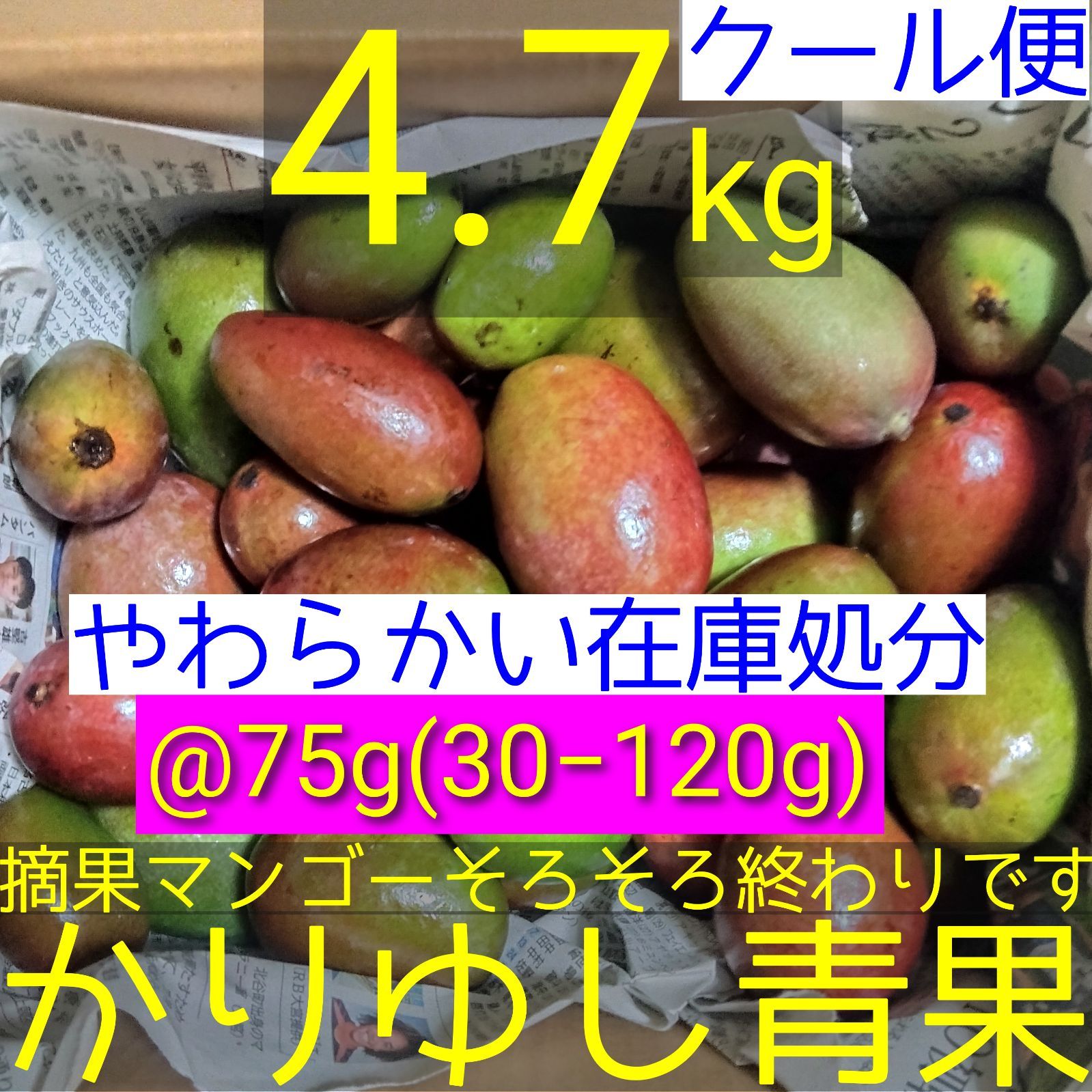 やわらかい在庫処分〉沖縄県産 摘果/青/グリーンマンゴー@75g(30〜120g