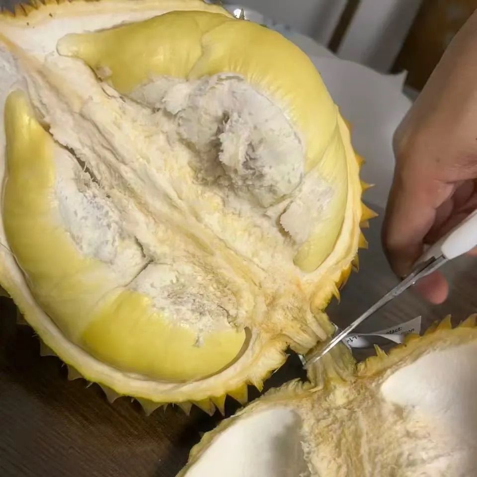 新鮮直送】タイ産 モントーン ドリアン 金枕榴蓮 1玉1キロ-1.4キロ