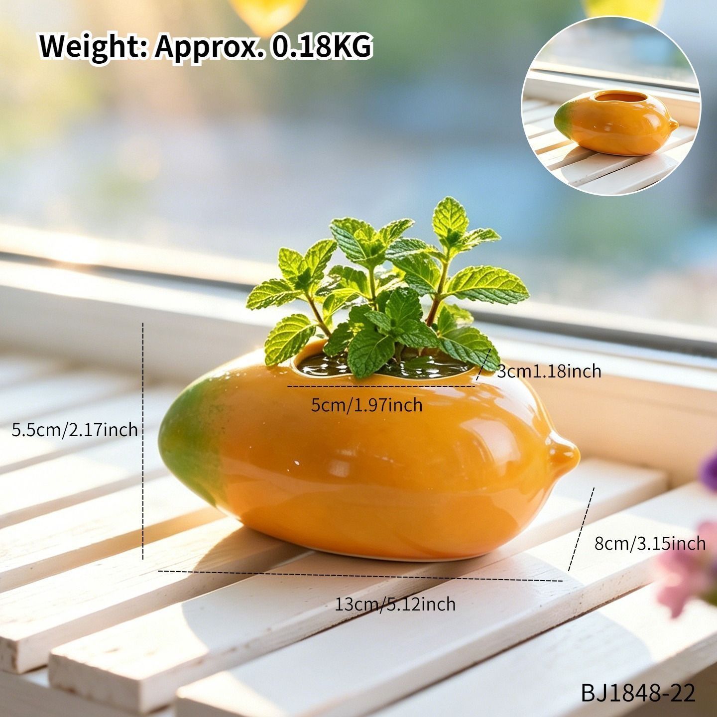 鉢植え 植木鉢 プランター プラントポット フラワーポット ガーデニング 樹脂 屋内 屋外 インテリア 庭 玄関 マンゴー型 フルーツ ミニサイズ 多肉植物 サボテン ユニークデザイン 棚装飾