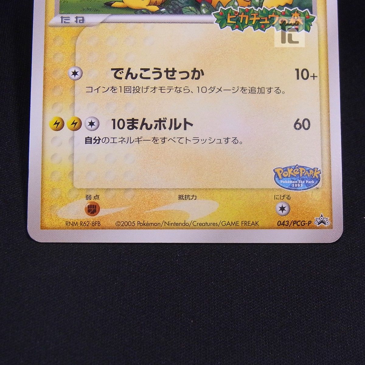 PROMO ポケパークのピカチュウ 043/PCG-P / TA24672 - メルカリ