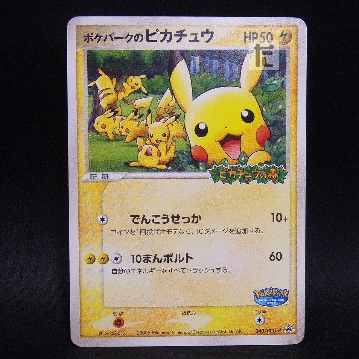 PROMO ポケパークのピカチュウ 043/PCG-P / TA24672 - メルカリ