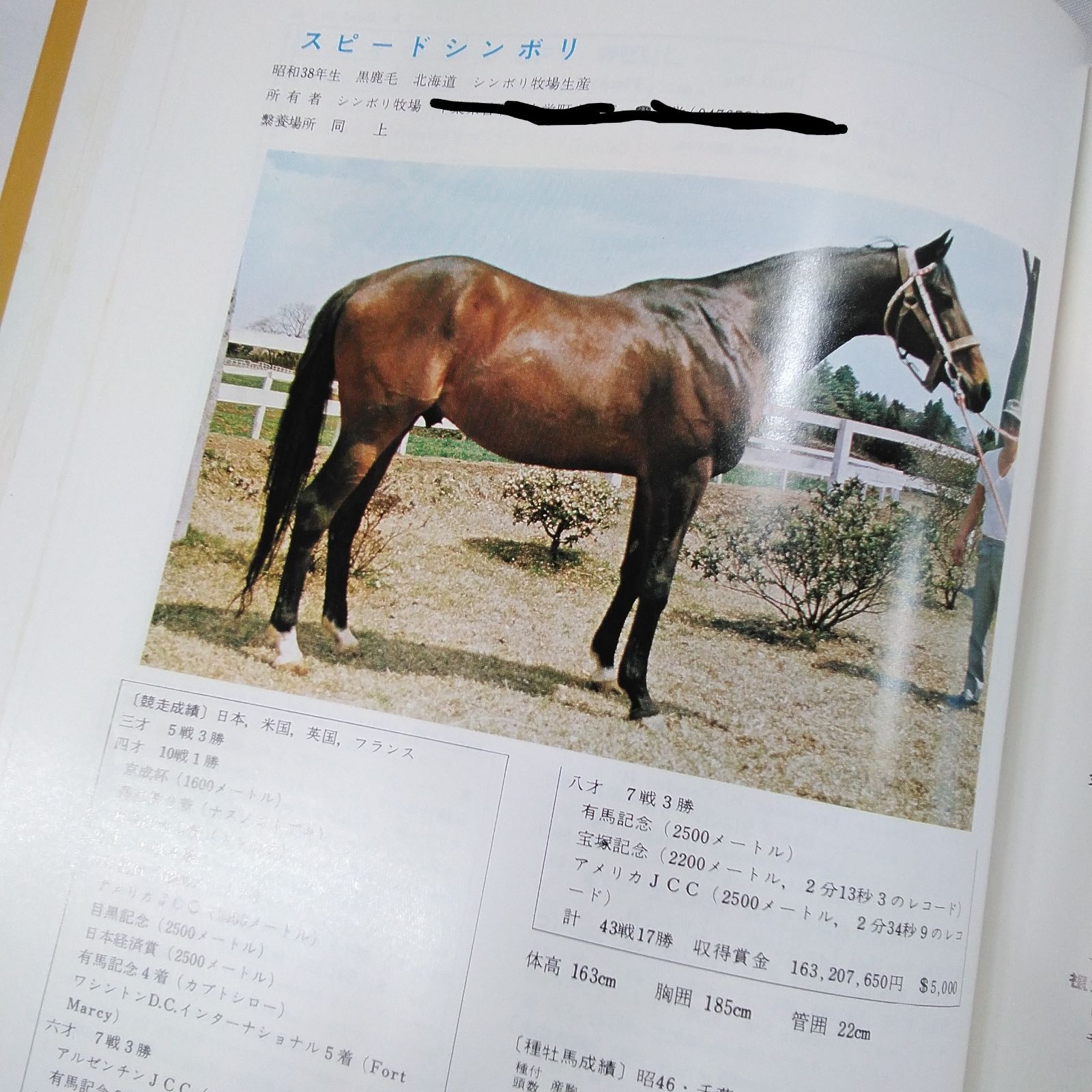 サラブレッド 種牡馬名鑑 1973年 1979年 競馬 資料 1歳展示セリ 2012年