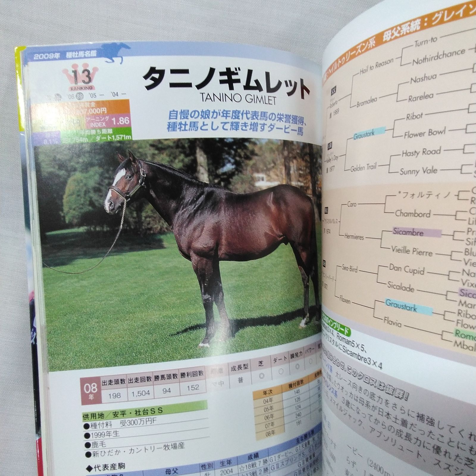 サラブレッド 種牡馬名鑑 1973年 1979年 競馬 資料 1歳展示セリ 2012年