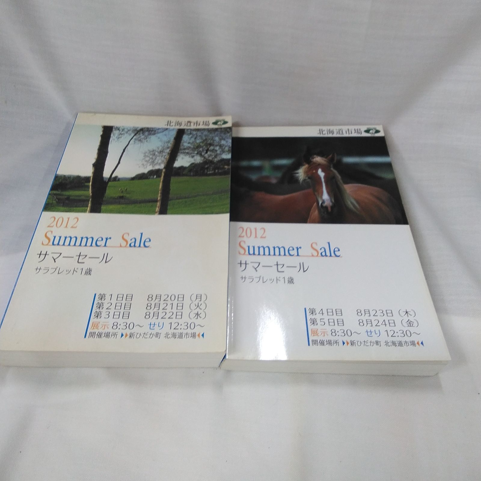 サラブレッド 種牡馬名鑑 1973年 1979年 競馬 資料 1歳展示セリ 2012年