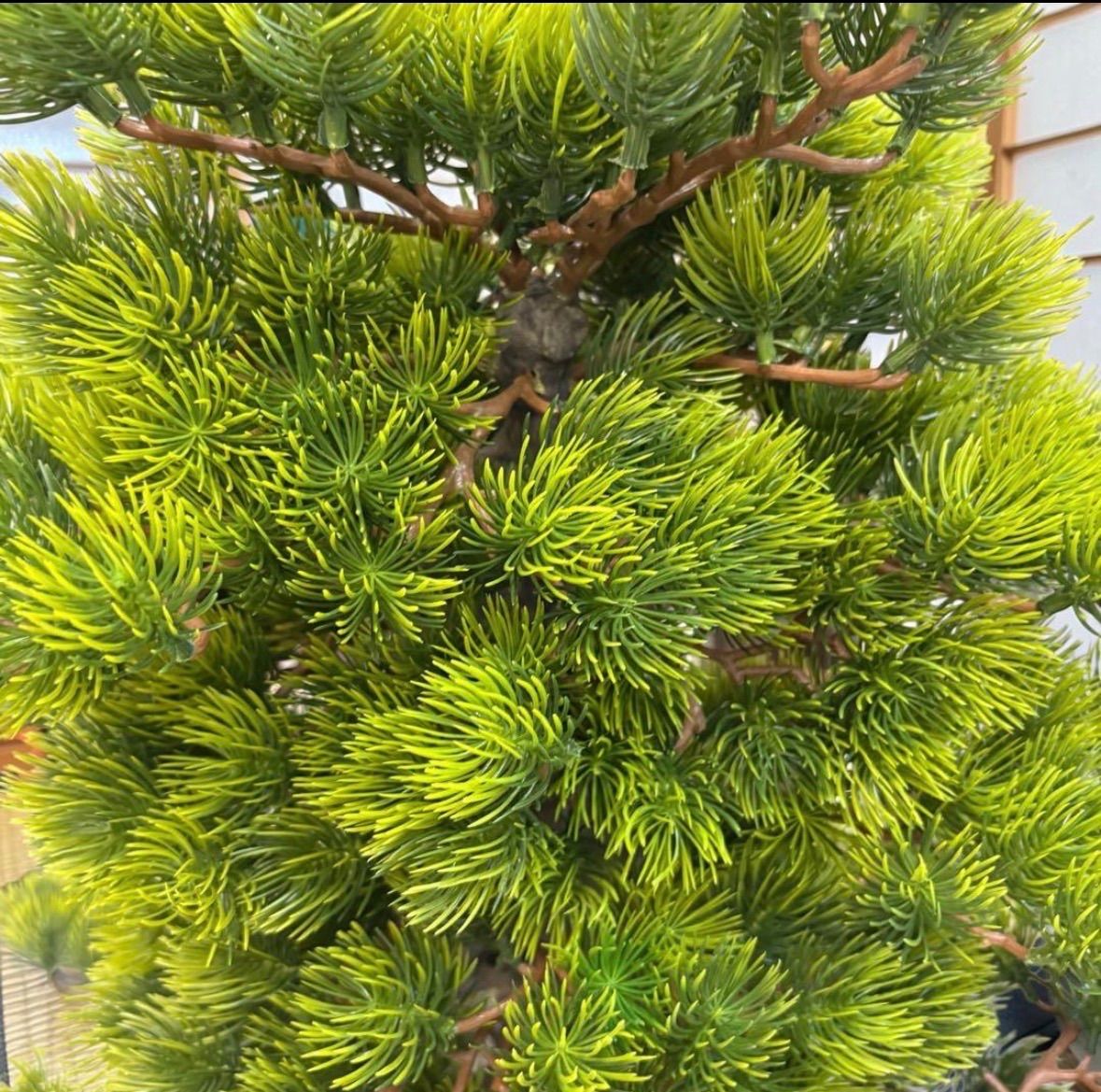 光触媒 人工観葉植物 ウォールグリーン フェイクグリーン 盆栽7376@@