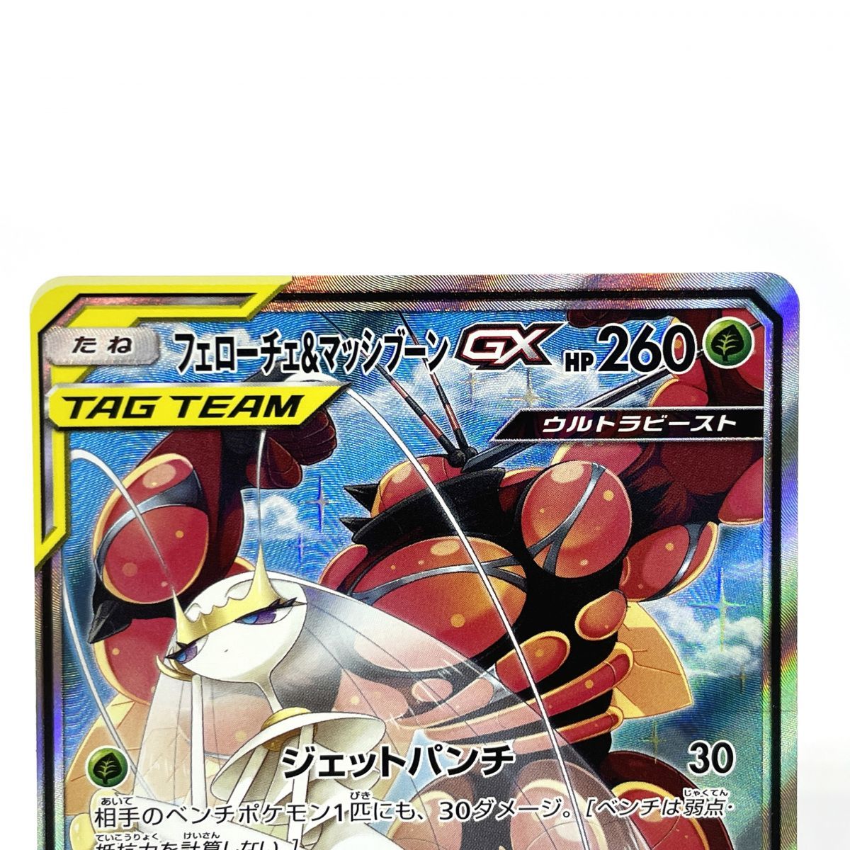 ポケモンカードゲーム フェローチェ&マッシブーンGX SR 056/054 SM9b