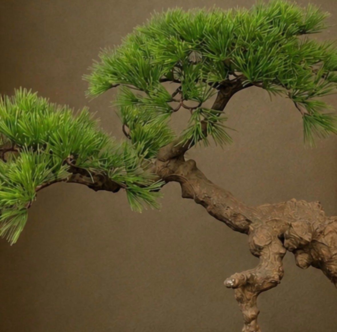 光触媒 人工観葉植物 ウォールグリーン フェイクグリーン 盆栽4655