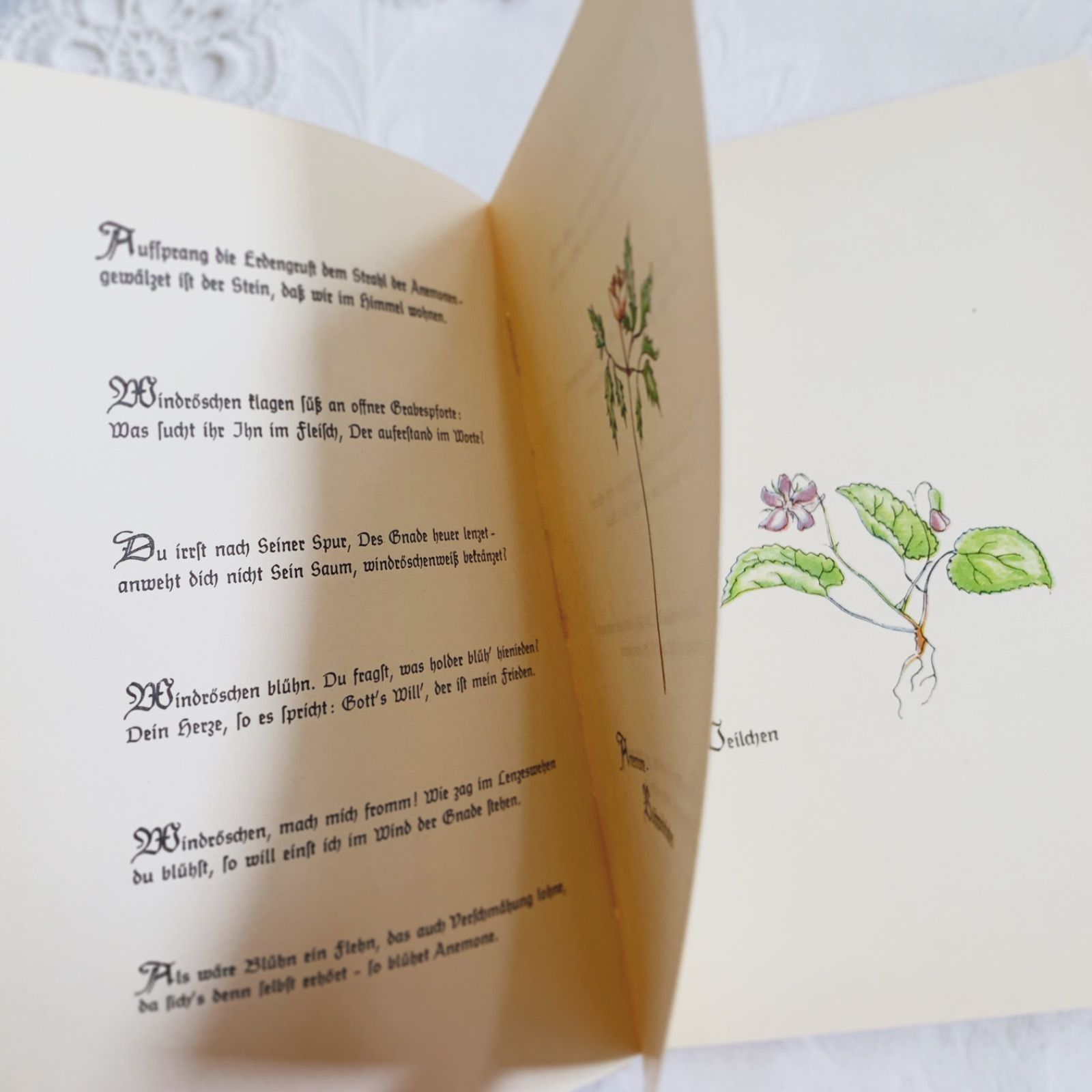 1951年-とても小さな花の本- ビンテージ詩集本/ヴィンテージ本/古書