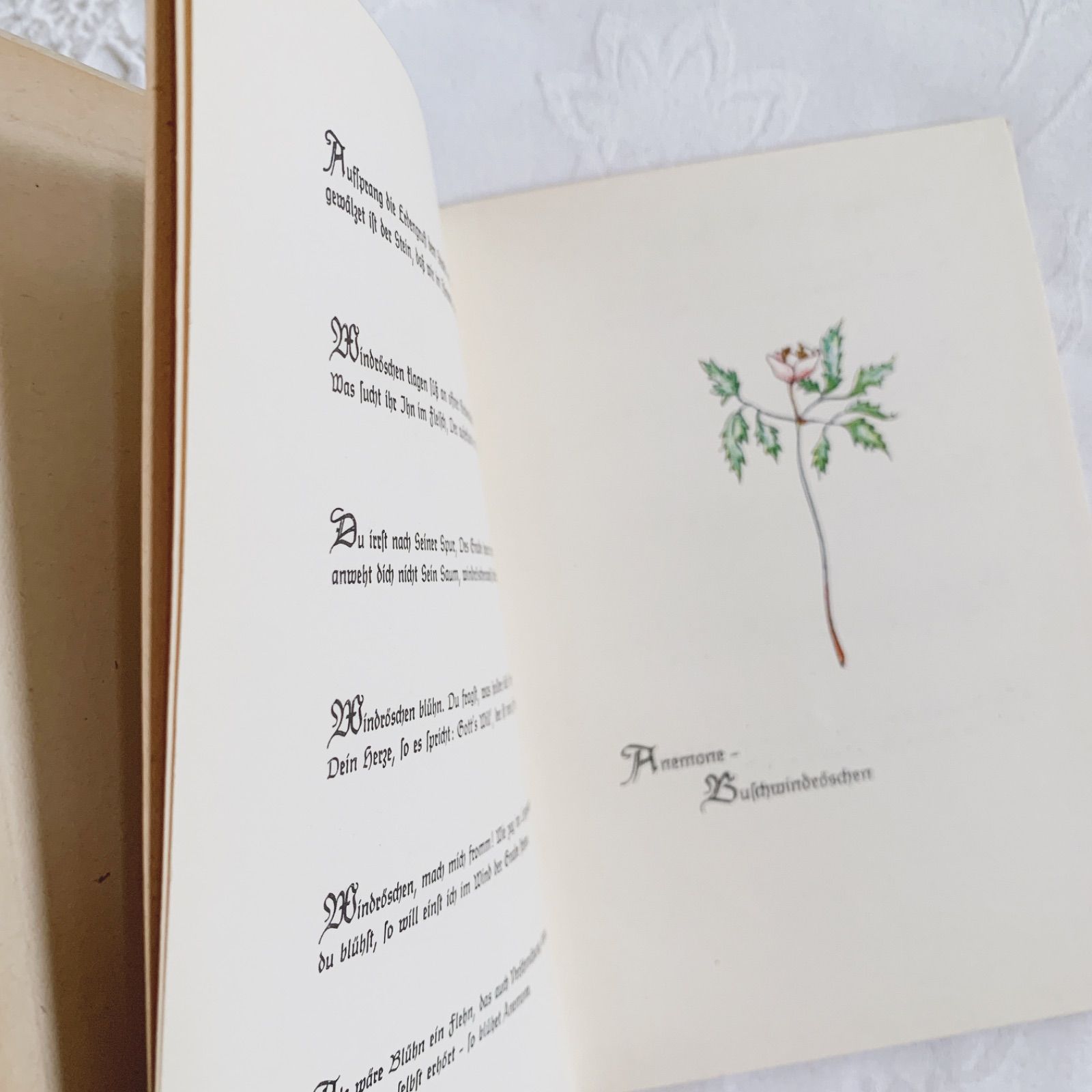 1951年-とても小さな花の本- ビンテージ詩集本/ヴィンテージ本/古書