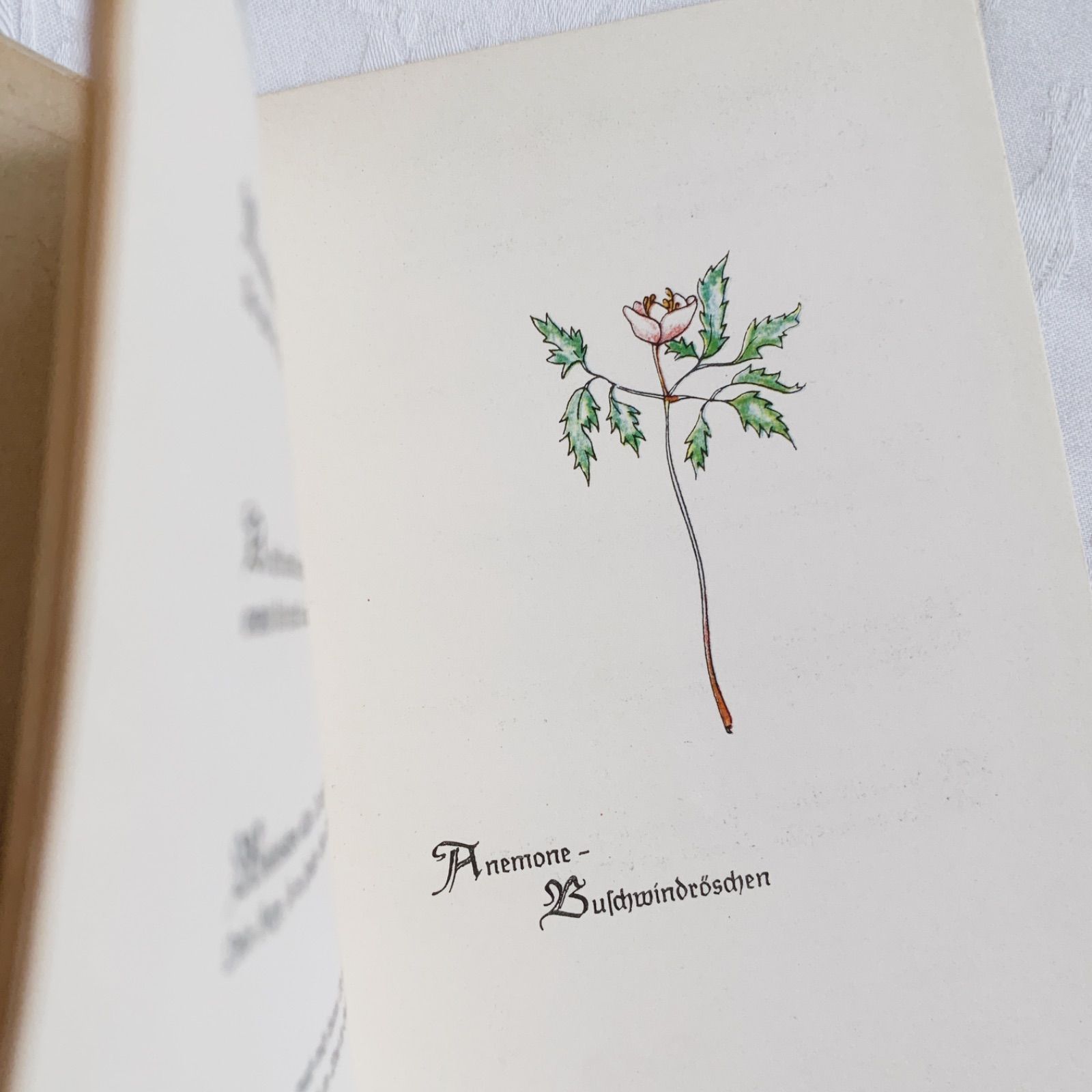 1951年-とても小さな花の本- ビンテージ詩集本/ヴィンテージ本/古書