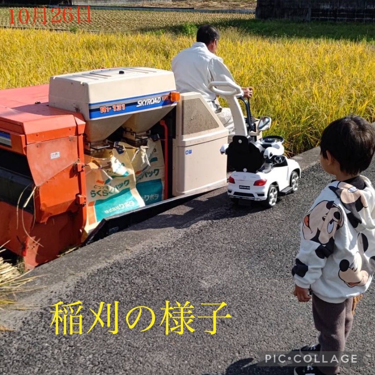 くず米 岡山県産 農薬､除草剤不使用 にこまる10㎏ - メルカリ