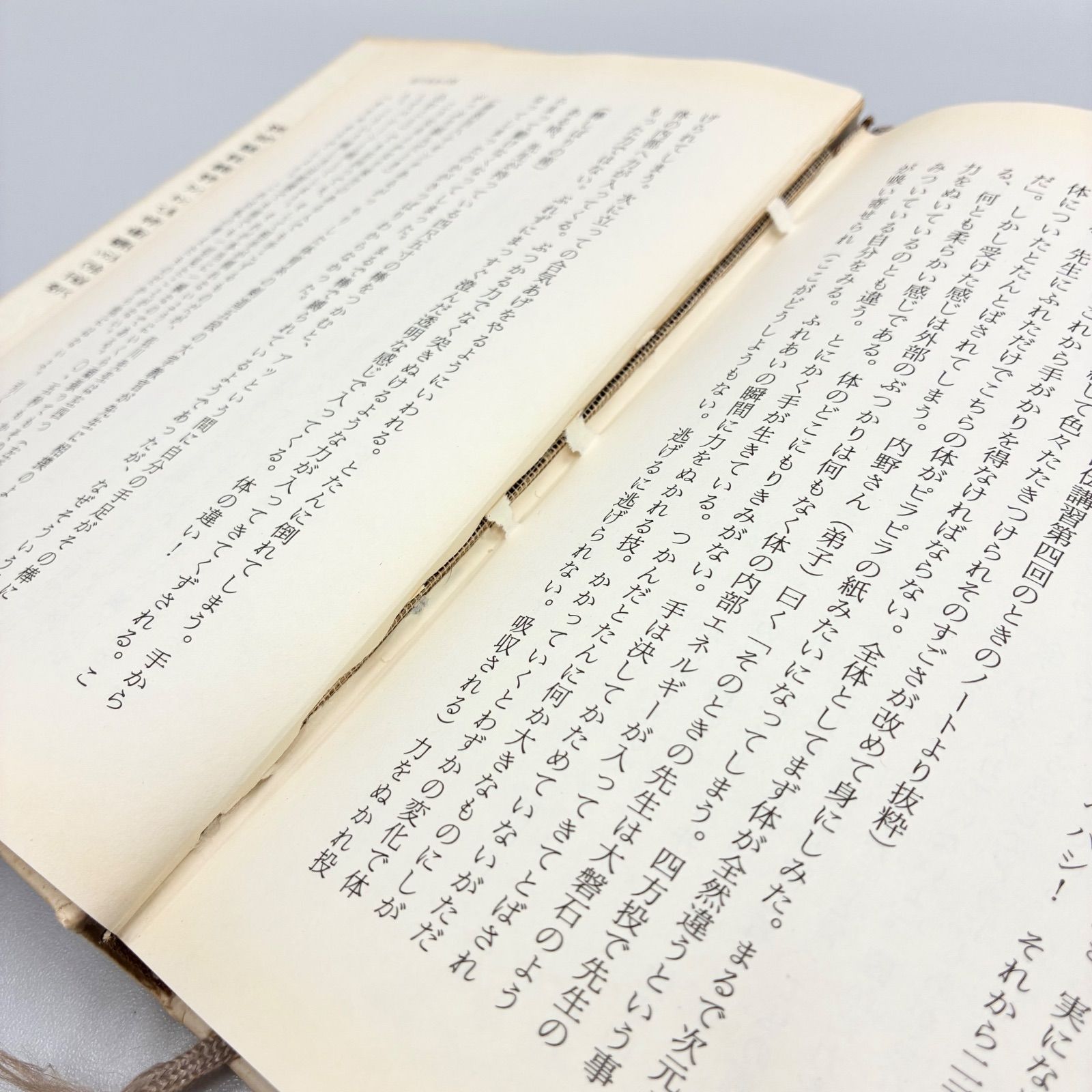 書籍・帯・初版】木村達雄/透明な力 不世出の武術家 佐川幸義 - メルカリ
