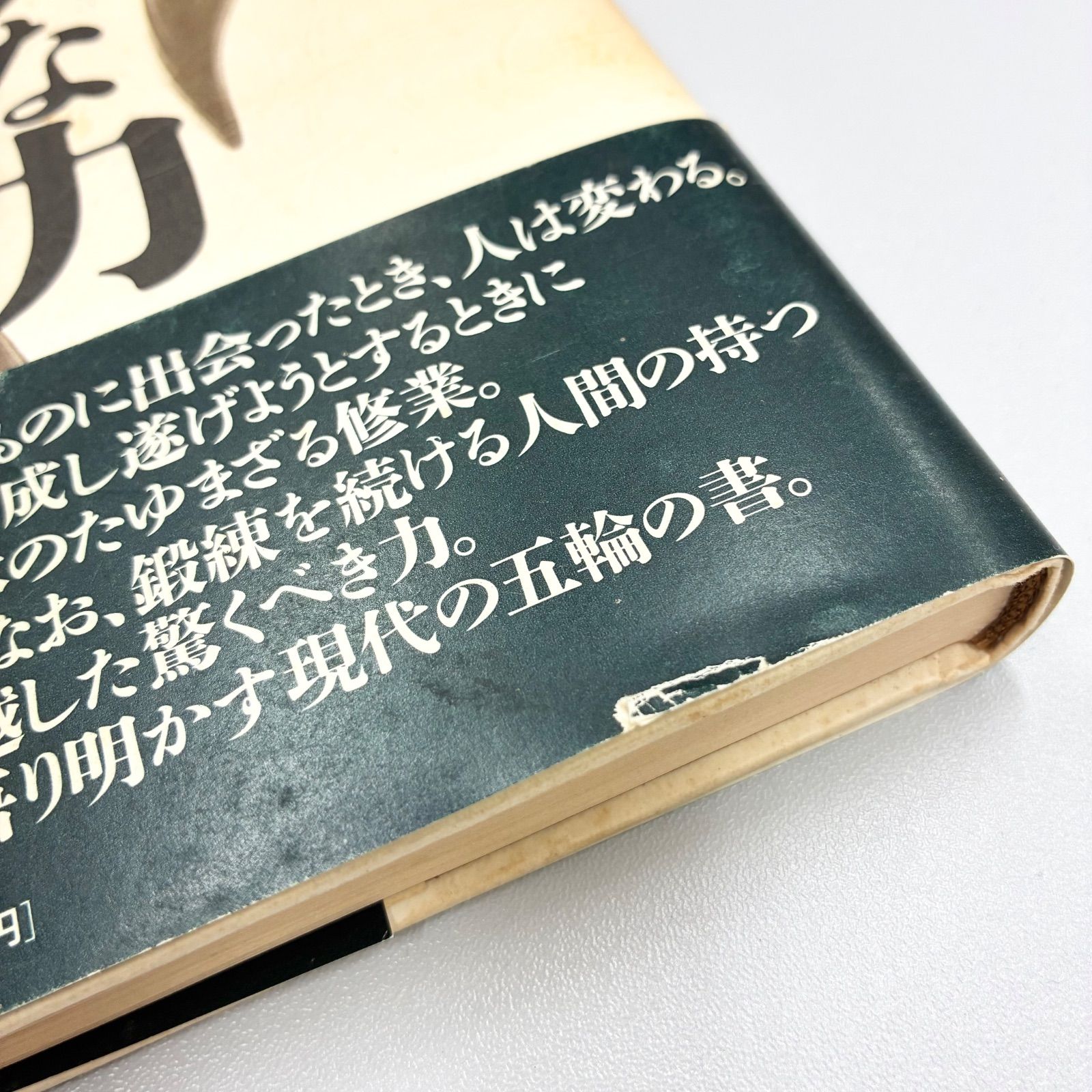 書籍・帯・初版】木村達雄/透明な力 不世出の武術家 佐川幸義 - メルカリ