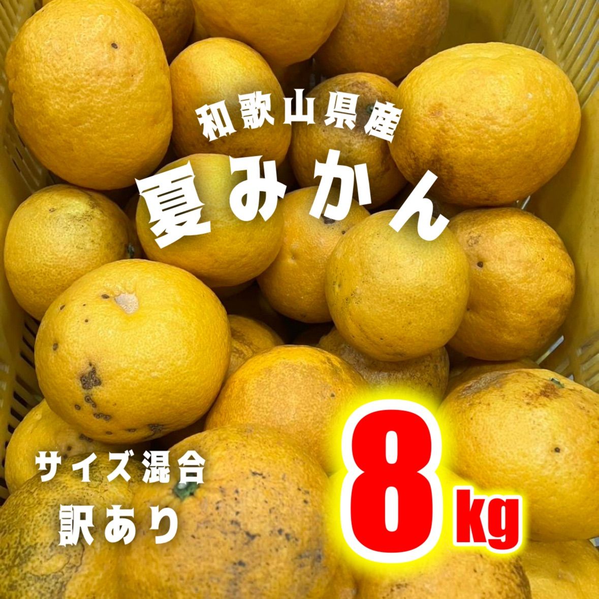 和歌山県産　はちく　ミャンミャン 訳あり】和歌山県産夏みかん 8kg サイズ混合 - メルカリ