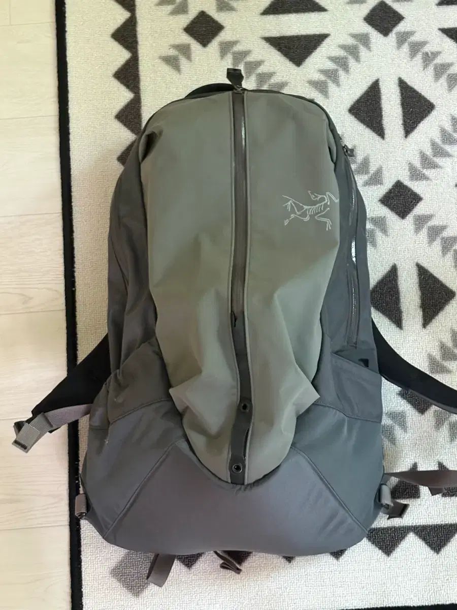 ARC'TERYX アークテリクス アロー 22 クラウド