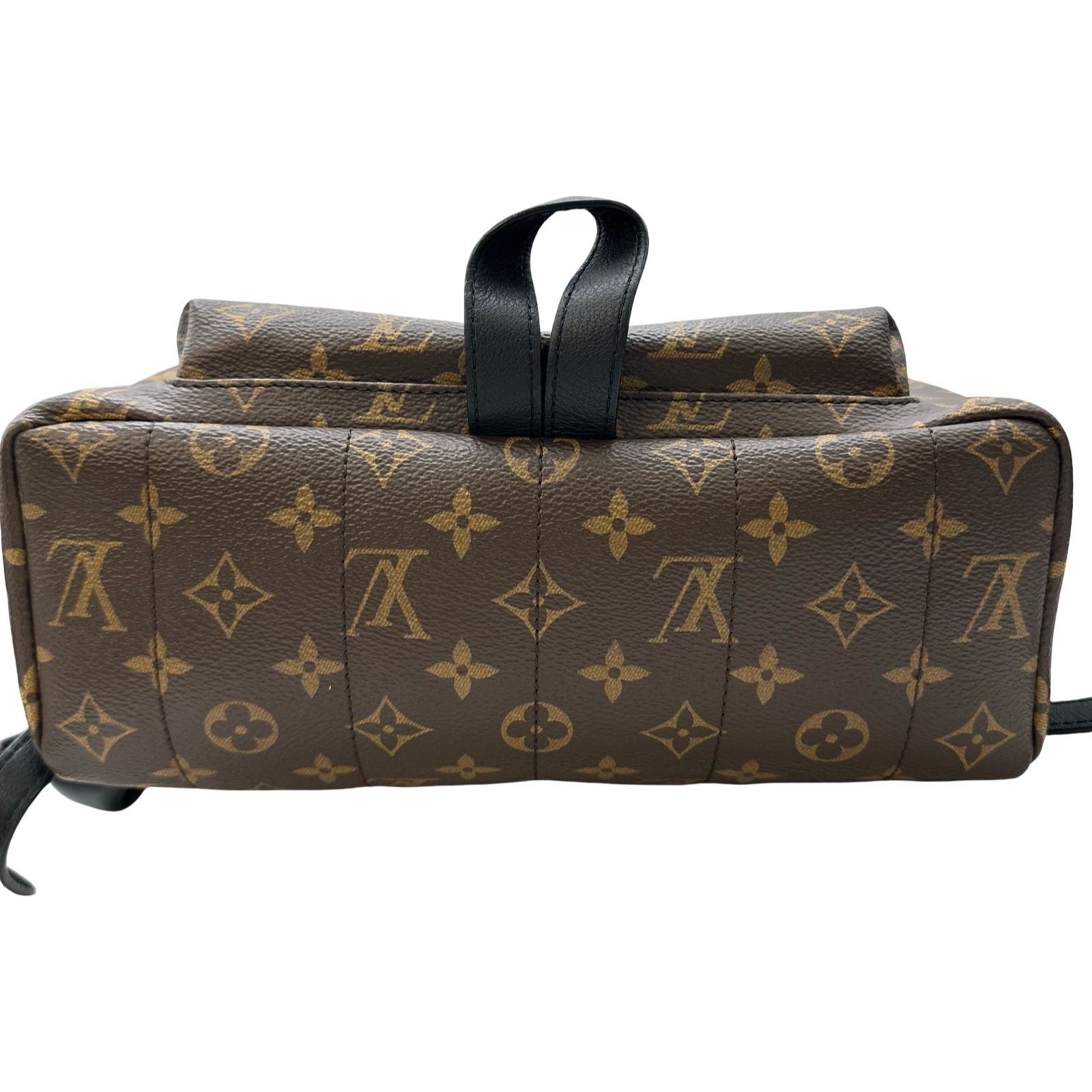 ルイ・ヴィトン LOUIS VUITTON パームスプリングス・バックパックMM