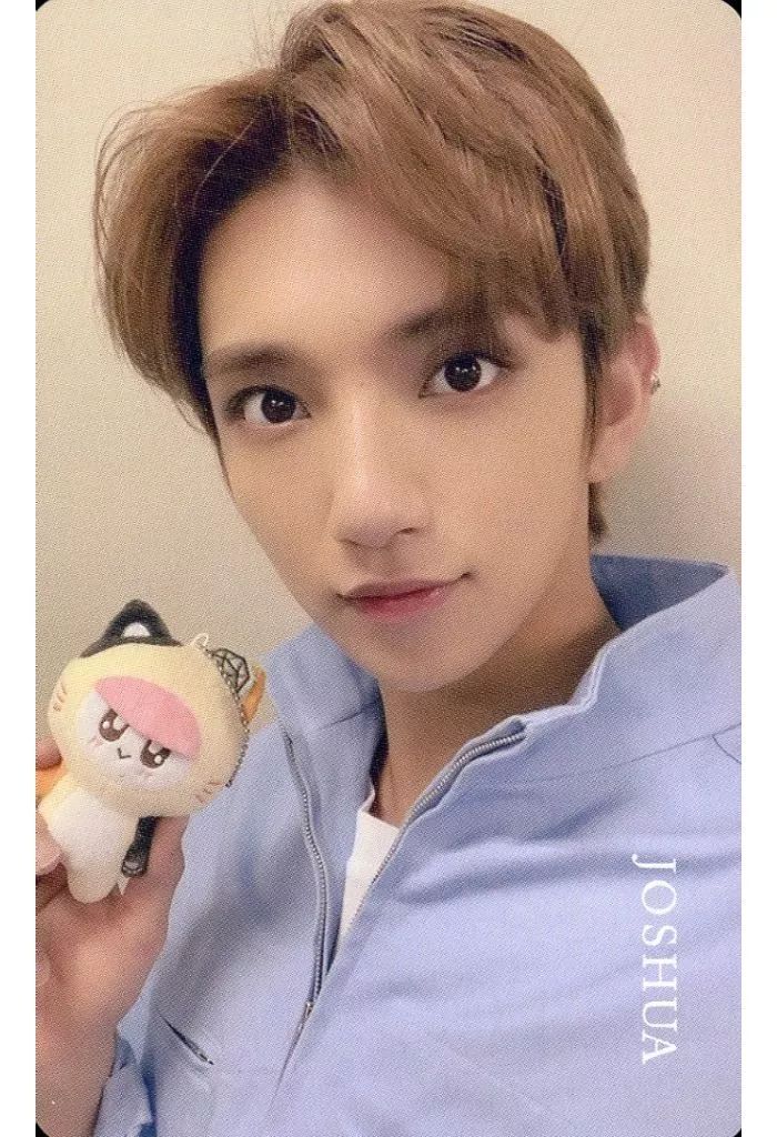 中古】コレクションカード(男性) SEVENTEEN/JOSHUA(ジョシュア)/バスト
