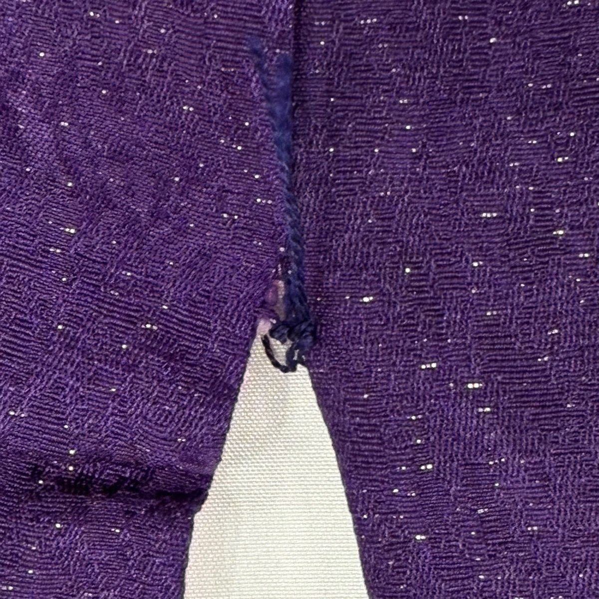 振袖 身丈164cm 裄丈65cm M 袷 牡丹 桜 銀通し 刺繍 紫 正絹 名品