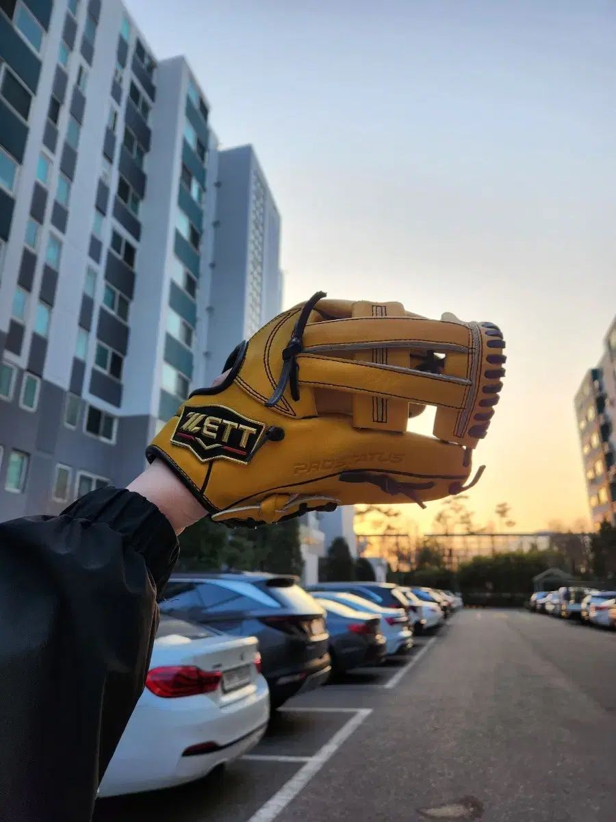 ゼット プロステイダーズ 内野グローブ